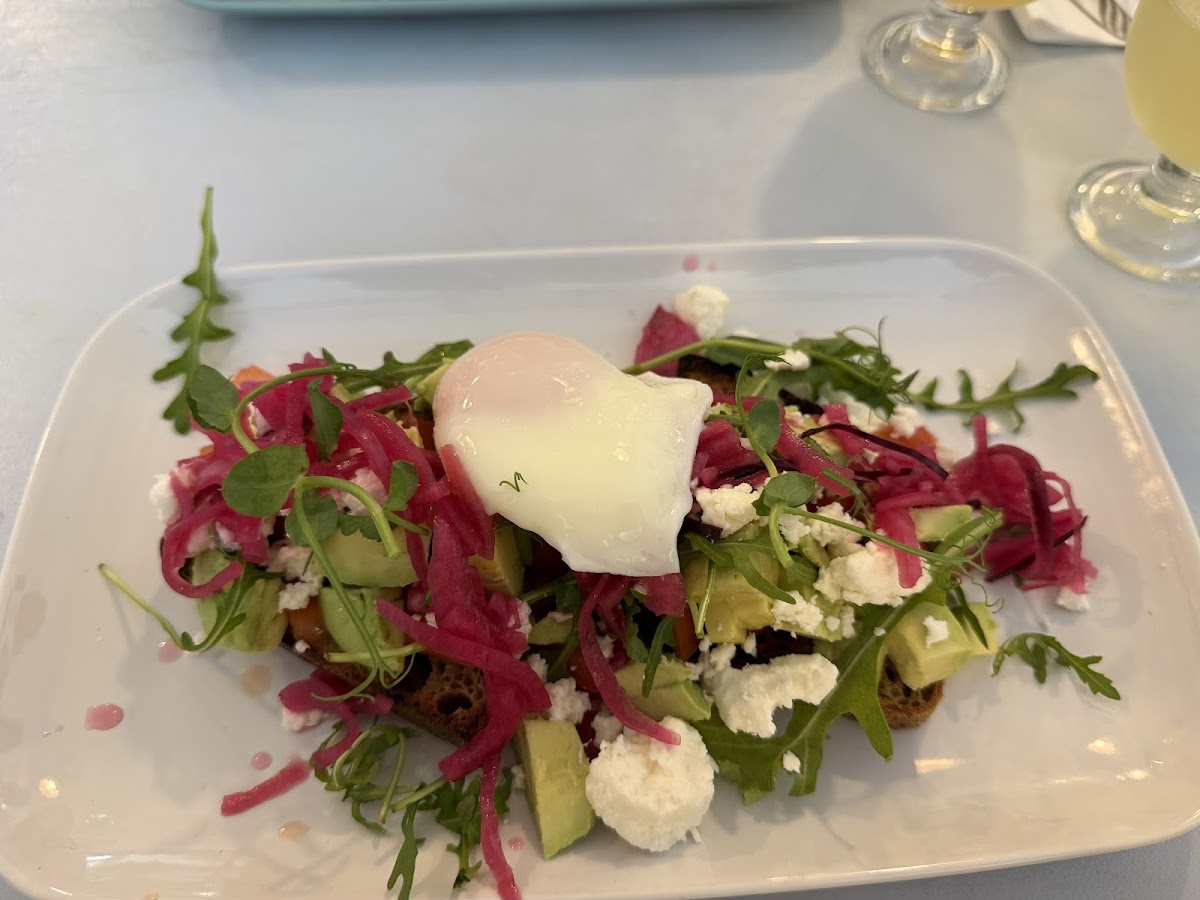 Coffee Shark Photos 2